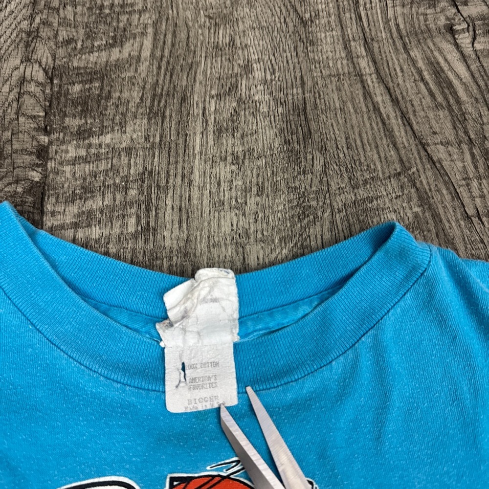 Vintage 90s Warner Bros NBA Charlotte Hornets Looney Tunes T Shirt Taz Daffy - Picture 5 of 6